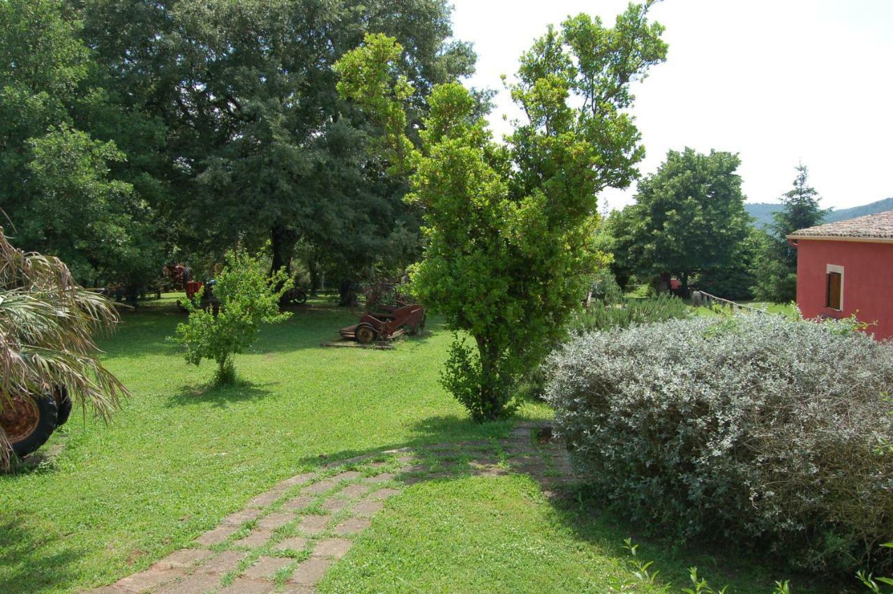 Agriturismo Castro Vila Ischia di Castro Exterior foto